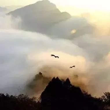 有福氣人生不要太圓滿