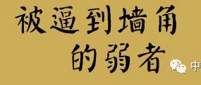發脾氣：弱者被逼到牆角後的自殘性武器