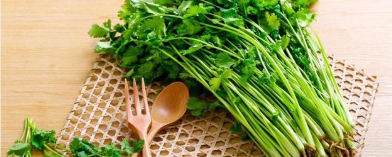 吃香菜有什麼好處