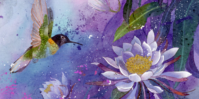 昙花一现是什么意思