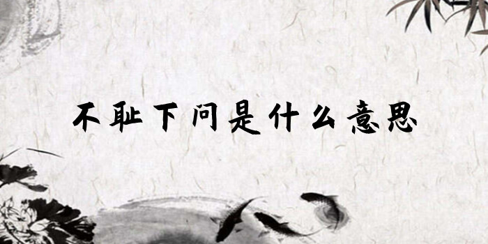 不耻下问是什么意思 不耻下问是什么意思