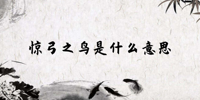 惊弓之鸟是什么意思