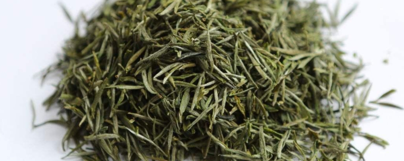 信陽毛尖屬於什麼茶