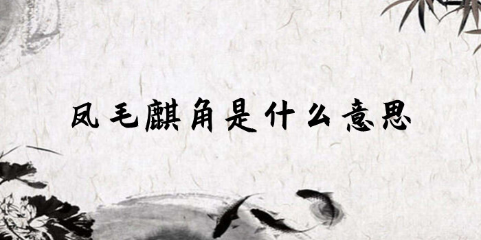 凤毛麟角是什么意思