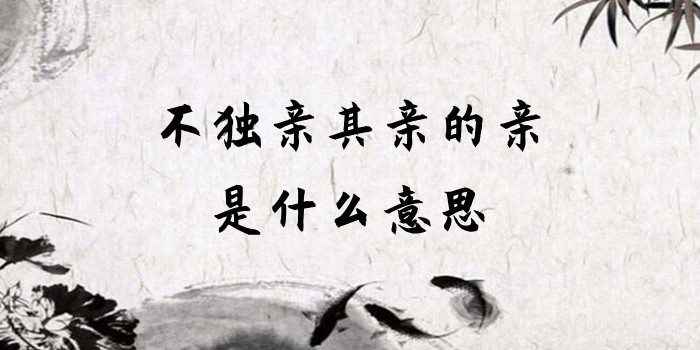 不独亲其亲的亲是什么意思 不独亲其亲的亲是什么意思
