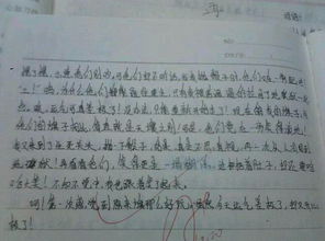中秋节的趣事作文500字-中秋节的趣事作文最新2021