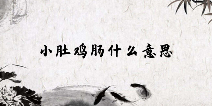 小肚鸡肠什么意思