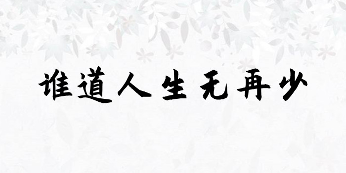 谁道人生无再少是什么意思