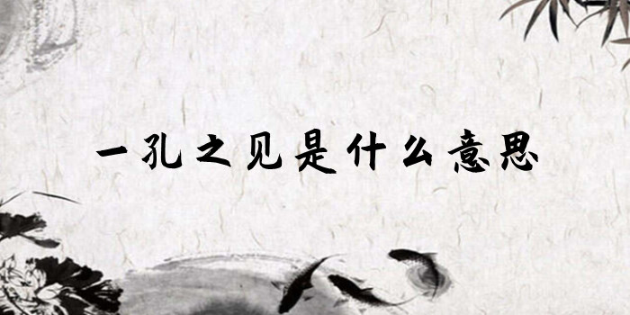 一孔之見是什麼意思 一孔之見是什麼意思