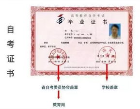小自考和大自考区别在哪里