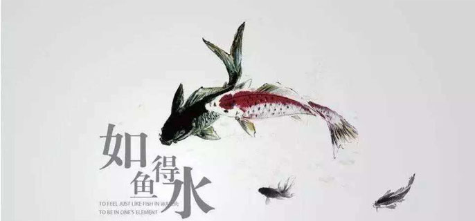 如魚得水是什麼意思