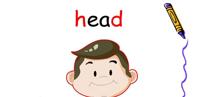 head中文是什麼意思