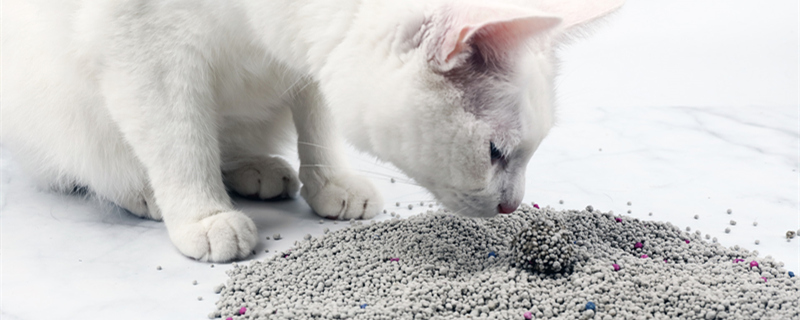 猫开塞露一次用多少毫升 猫开塞露一次用多少毫升