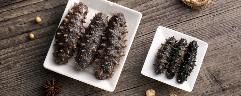 海參怎樣泡發