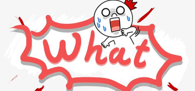 what是什麼意思