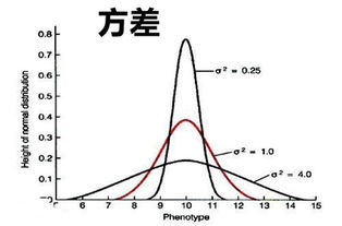 方差和标准差的区别